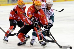 Eishockey, 2.Bundesliga Fischtown Pinguins REV Bremerhaven-Starbulls Rosenhei 31.10.14 Foto Scheer